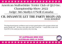 Class 10 - Ch. Dinamyte Let The Party Begin (AI).png